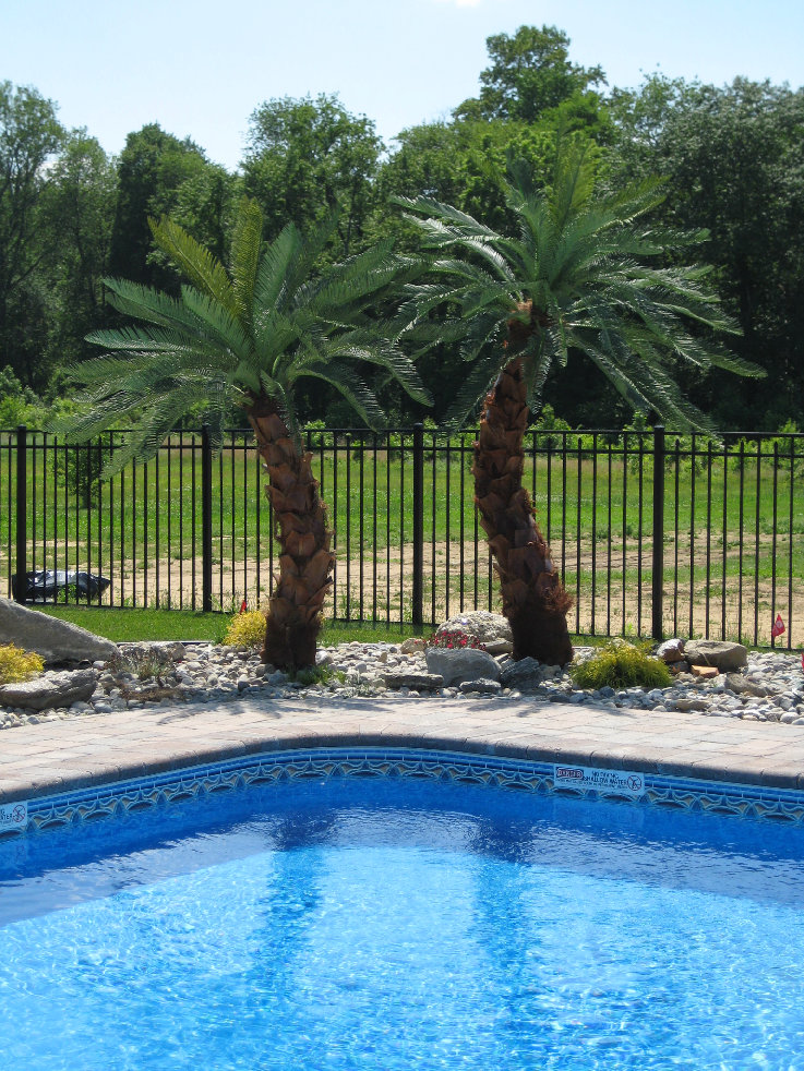 Artificial Canery Date Palm Tree Artificial Canery Date Palm Tree